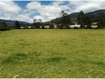 ESPECTACULAR FINCA PARA PRODUCCIÓN AGROPECUARIA