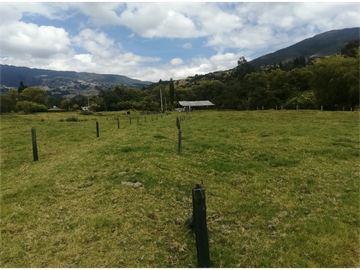ESPECTACULAR FINCA PARA PRODUCCIÓN AGROPECUARIA