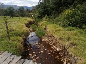ESPECTACULAR FINCA PARA PRODUCCIÓN AGROPECUARIA