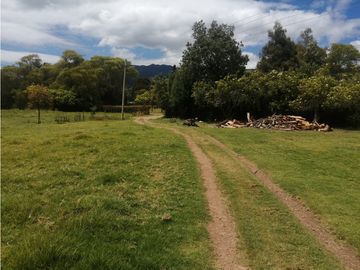 ESPECTACULAR FINCA PARA PRODUCCIÓN AGROPECUARIA