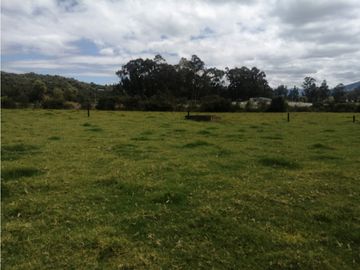 ESPECTACULAR FINCA PARA PRODUCCIÓN AGROPECUARIA