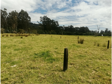 ESPECTACULAR FINCA PARA PRODUCCIÓN AGROPECUARIA