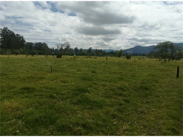 ESPECTACULAR FINCA PARA PRODUCCIÓN AGROPECUARIA