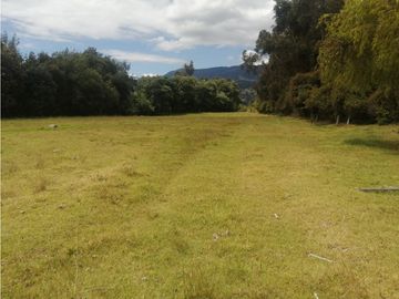 ESPECTACULAR FINCA PARA PRODUCCIÓN AGROPECUARIA