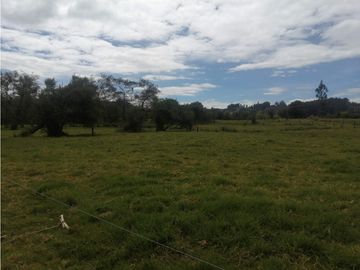 ESPECTACULAR FINCA PARA PRODUCCIÓN AGROPECUARIA