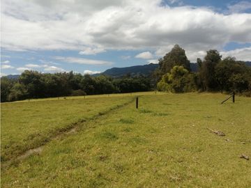 ESPECTACULAR FINCA PARA PRODUCCIÓN AGROPECUARIA