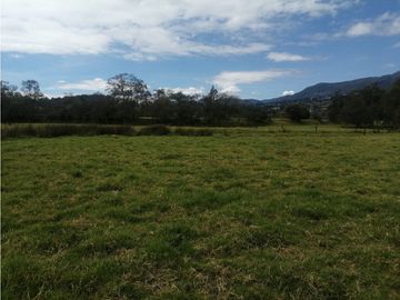 ESPECTACULAR FINCA PARA PRODUCCIÓN AGROPECUARIA
