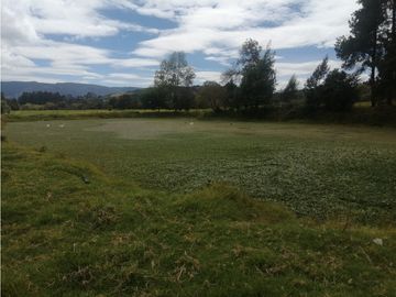 ESPECTACULAR FINCA PARA PRODUCCIÓN AGROPECUARIA