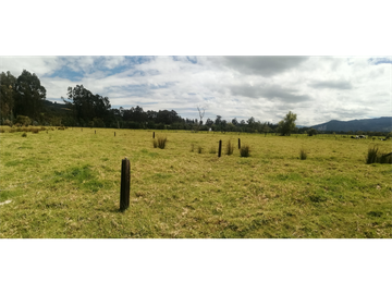 ESPECTACULAR FINCA PARA PRODUCCIÓN AGROPECUARIA