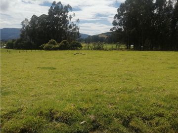 ESPECTACULAR FINCA PARA PRODUCCIÓN AGROPECUARIA