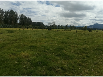 ESPECTACULAR FINCA PARA PRODUCCIÓN AGROPECUARIA