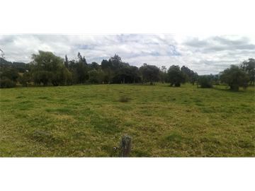 ESPECTACULAR FINCA PARA PRODUCCIÓN AGROPECUARIA