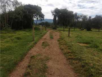 ESPECTACULAR FINCA PARA PRODUCCIÓN AGROPECUARIA
