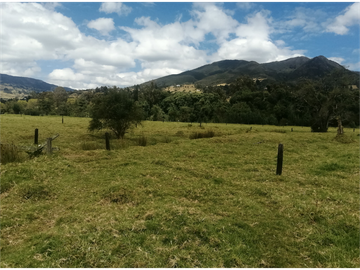 ESPECTACULAR FINCA PARA PRODUCCIÓN AGROPECUARIA