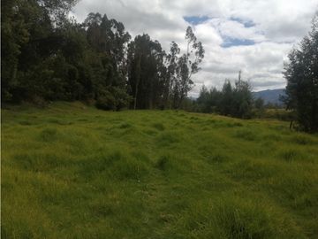 ESPECTACULAR FINCA PARA PRODUCCIÓN AGROPECUARIA