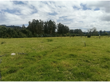 ESPECTACULAR FINCA PARA PRODUCCIÓN AGROPECUARIA