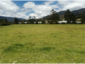 ESPECTACULAR FINCA PARA PRODUCCIÓN AGROPECUARIA