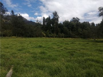 ESPECTACULAR FINCA PARA PRODUCCIÓN AGROPECUARIA