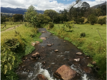 ESPECTACULAR FINCA PARA PRODUCCIÓN AGROPECUARIA