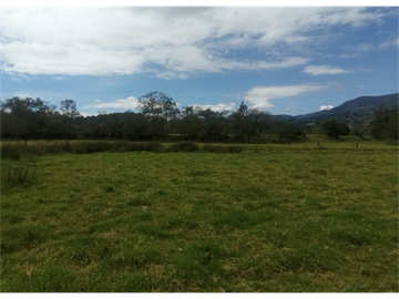 ESPECTACULAR FINCA PARA PRODUCCIÓN AGROPECUARIA
