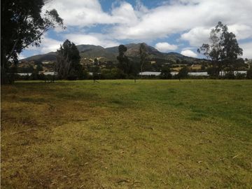 ESPECTACULAR FINCA PARA PRODUCCIÓN AGROPECUARIA