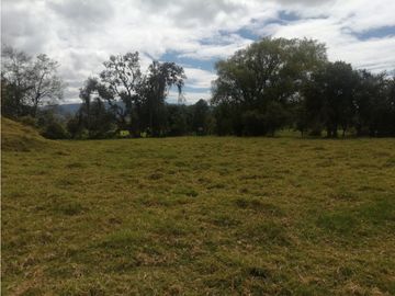 ESPECTACULAR FINCA PARA PRODUCCIÓN AGROPECUARIA