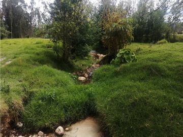 ESPECTACULAR FINCA PARA PRODUCCIÓN AGROPECUARIA