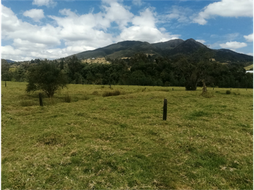 ESPECTACULAR FINCA PARA PRODUCCIÓN AGROPECUARIA