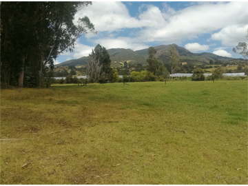 ESPECTACULAR FINCA PARA PRODUCCIÓN AGROPECUARIA