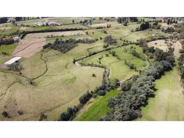 ESPECTACULAR FINCA PARA PRODUCCIÓN AGROPECUARIA