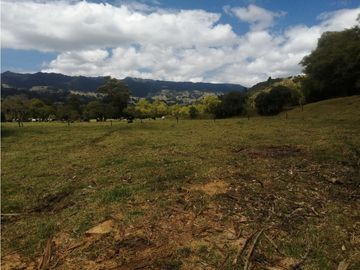 ESPECTACULAR FINCA PARA PRODUCCIÓN AGROPECUARIA