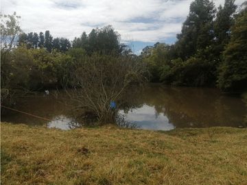 ESPECTACULAR FINCA PARA PRODUCCIÓN AGROPECUARIA