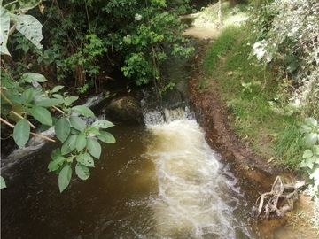 ESPECTACULAR FINCA PARA PRODUCCIÓN AGROPECUARIA