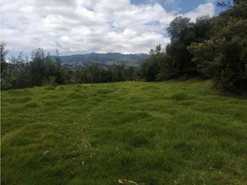 ESPECTACULAR FINCA PARA PRODUCCIÓN AGROPECUARIA