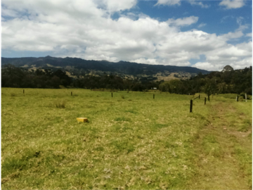 ESPECTACULAR FINCA PARA PRODUCCIÓN AGROPECUARIA