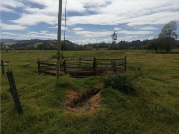 ESPECTACULAR FINCA PARA PRODUCCIÓN AGROPECUARIA