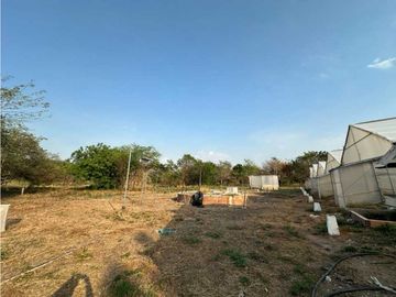 SE VENDE FINCA VIA VEREDA LAS MARIAS