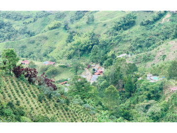 Finca en venta en la vereda Planadas, Santa Rosa de Cabal, Risaralda