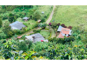 Finca en venta en la vereda Planadas, Santa Rosa de Cabal, Risaralda