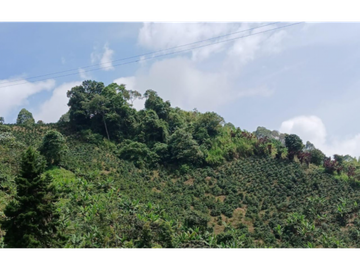 Finca en venta en la vereda Planadas, Santa Rosa de Cabal, Risaralda