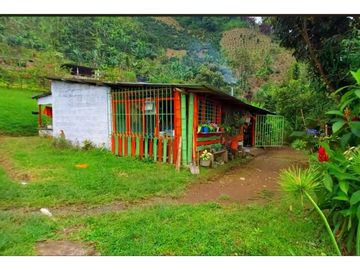 Finca en venta en la vereda Planadas, Santa Rosa de Cabal, Risaralda