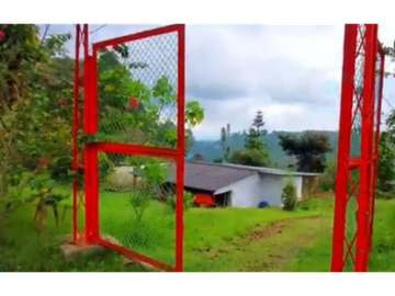 Finca en venta en la vereda Planadas, Santa Rosa de Cabal, Risaralda