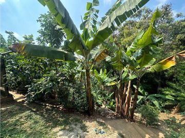 Casa campestre en venta - Medio Dapa AMS.8093402