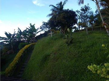 Venta de finca en Jericó, Antioquia