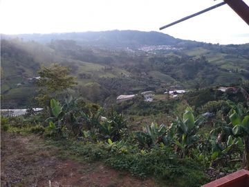 Venta de finca en Jericó, Antioquia
