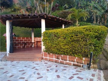 Venta de finca en Jericó, Antioquia