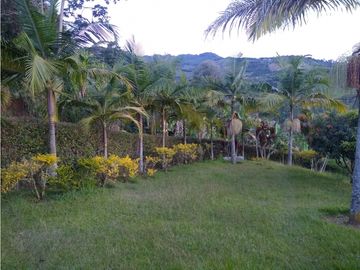 Venta de finca en Jericó, Antioquia