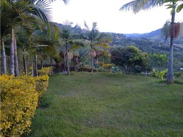 Venta de finca en Jericó, Antioquia