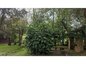 Vendo casa finca Rionegro via a la Ceja.