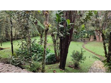 Vendo casa finca Rionegro via a la Ceja.